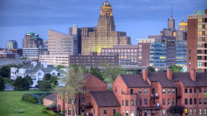 Buffalo
